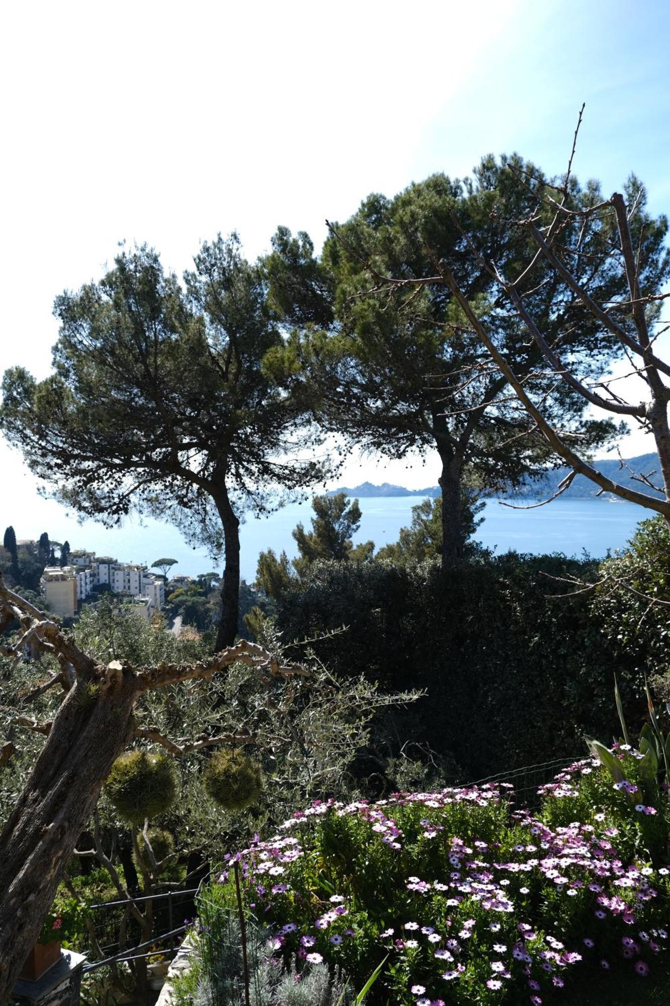 L'Alcova Tra Gli Ulivi By Portofinovacanze Zoagli Zewnętrze zdjęcie
