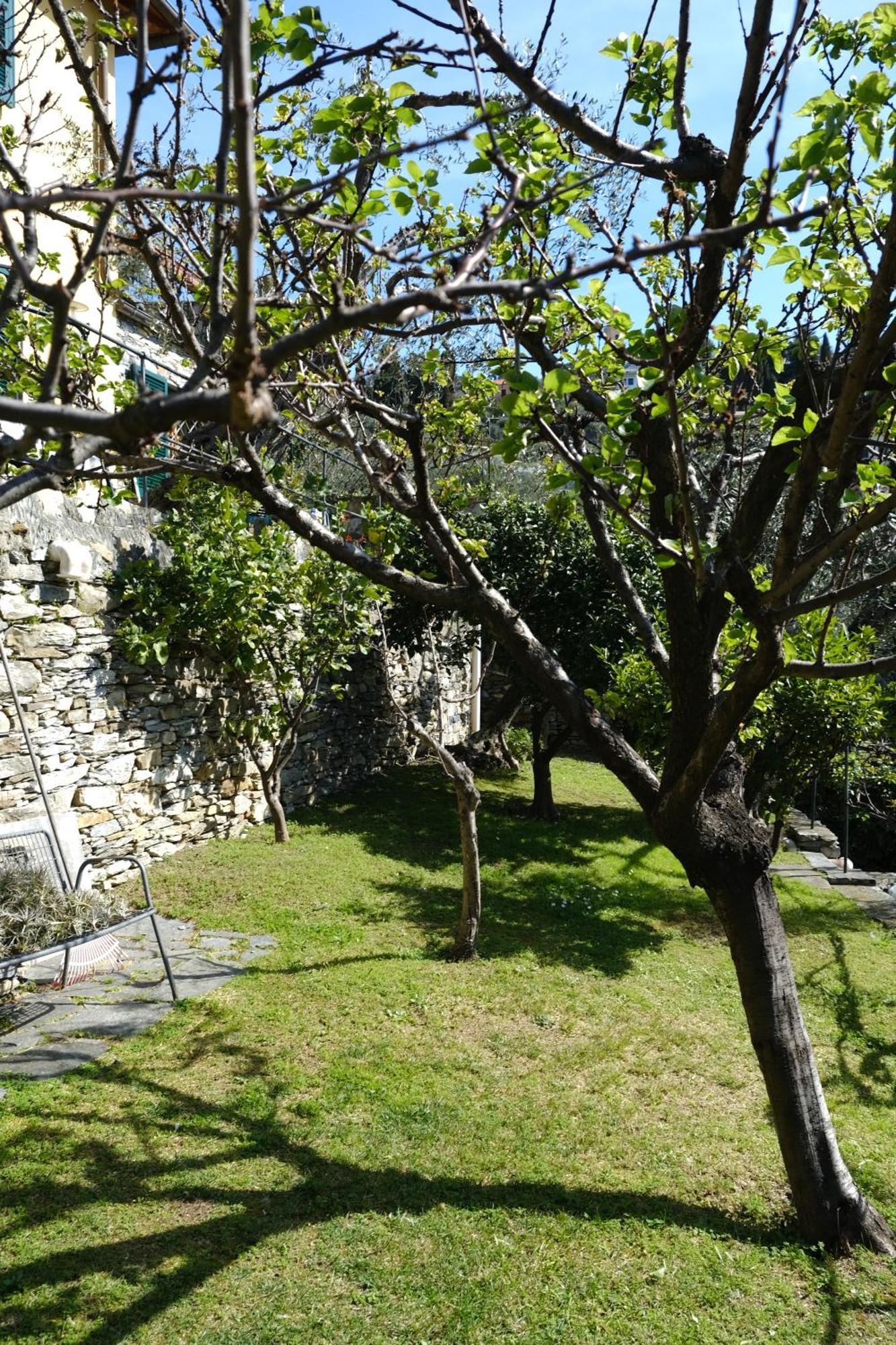 L'Alcova Tra Gli Ulivi By Portofinovacanze Zoagli Zewnętrze zdjęcie