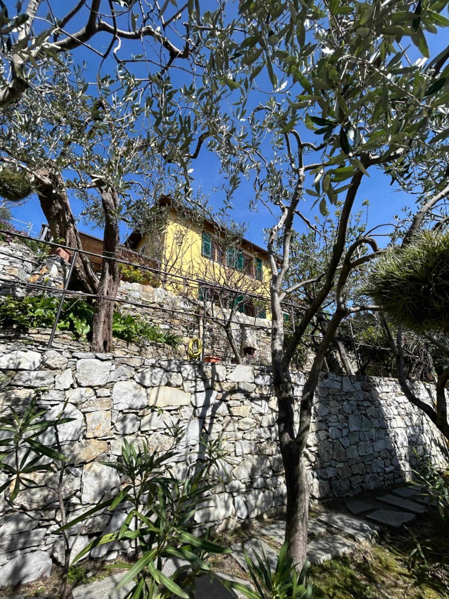 L'Alcova Tra Gli Ulivi By Portofinovacanze Zoagli Zewnętrze zdjęcie