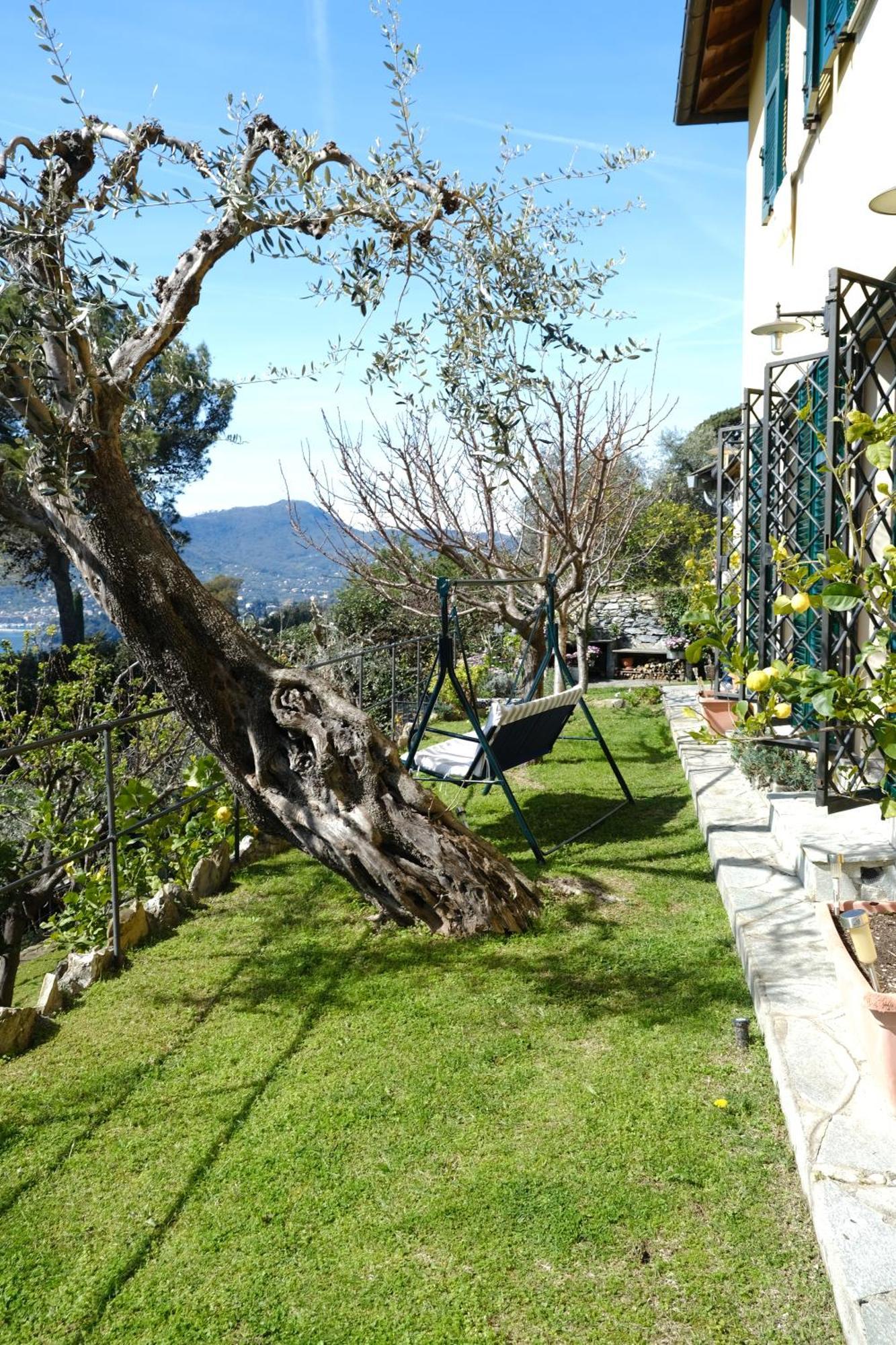 L'Alcova Tra Gli Ulivi By Portofinovacanze Zoagli Zewnętrze zdjęcie